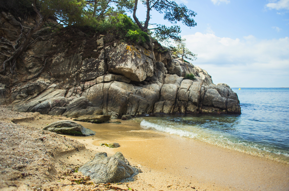 Cala del Pi. Rocky cove with a small sandy beach, surrounded by rugged cliffs and pine trees