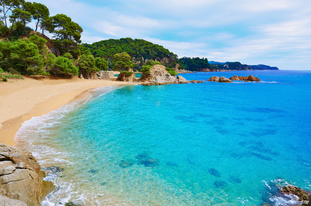 Platja de Treumal. Stunning beach with golden sand and clear turquoise water, framed by pine-covered cliffs and rocky outcrops