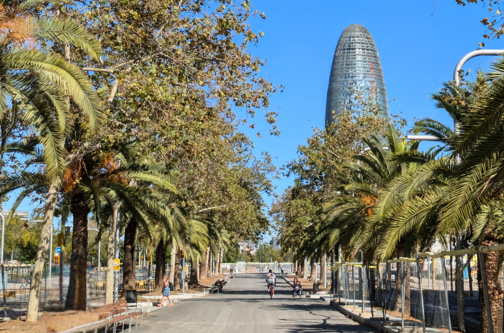 Palm-lined avenue in Barcelona with the Torre Agbar skyscraper in the background