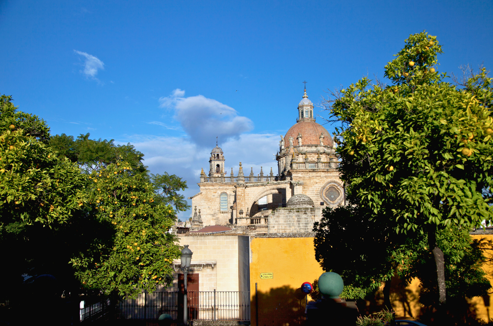 Catedral de Jerez de la Frontera dome and bell tower framed by trees